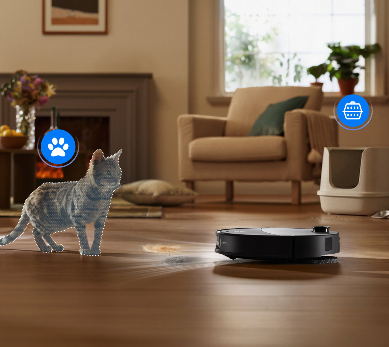 Deep Cleaning for Pet Zones
