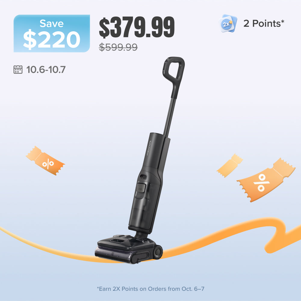 Roborock F25 Steam