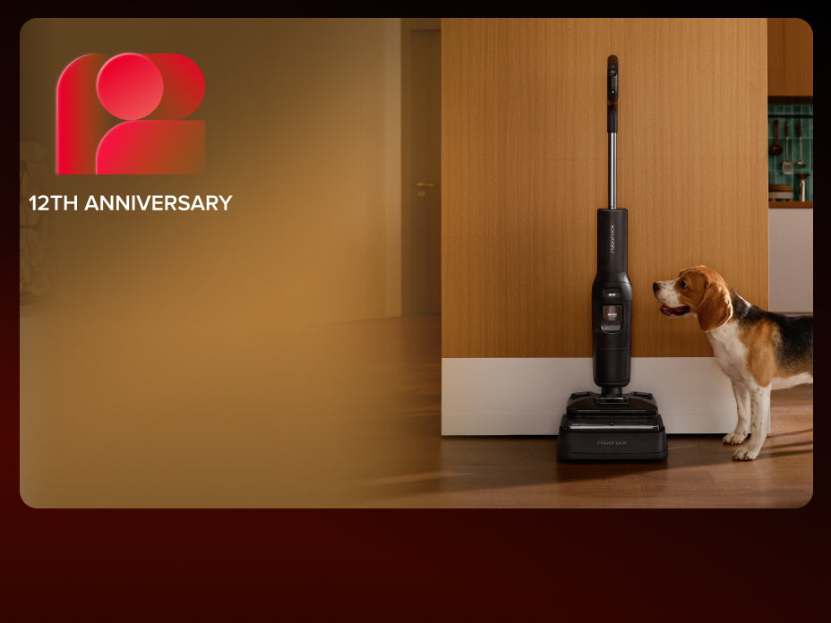 A person using a white Roborock F25 GT wet/dry vacuum to clean up a cracked egg and spill on a wooden kitchen floor, with a small kitten watching nearby