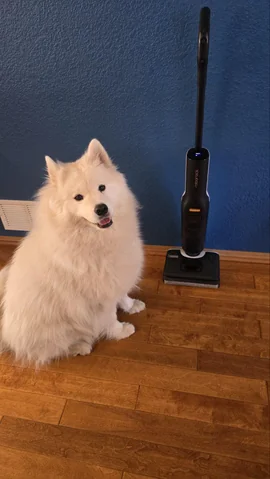 "With two large shedding dogs and a cat, this vacuum-mop combo picks up dog fur and muddy paw prints effortlessly."