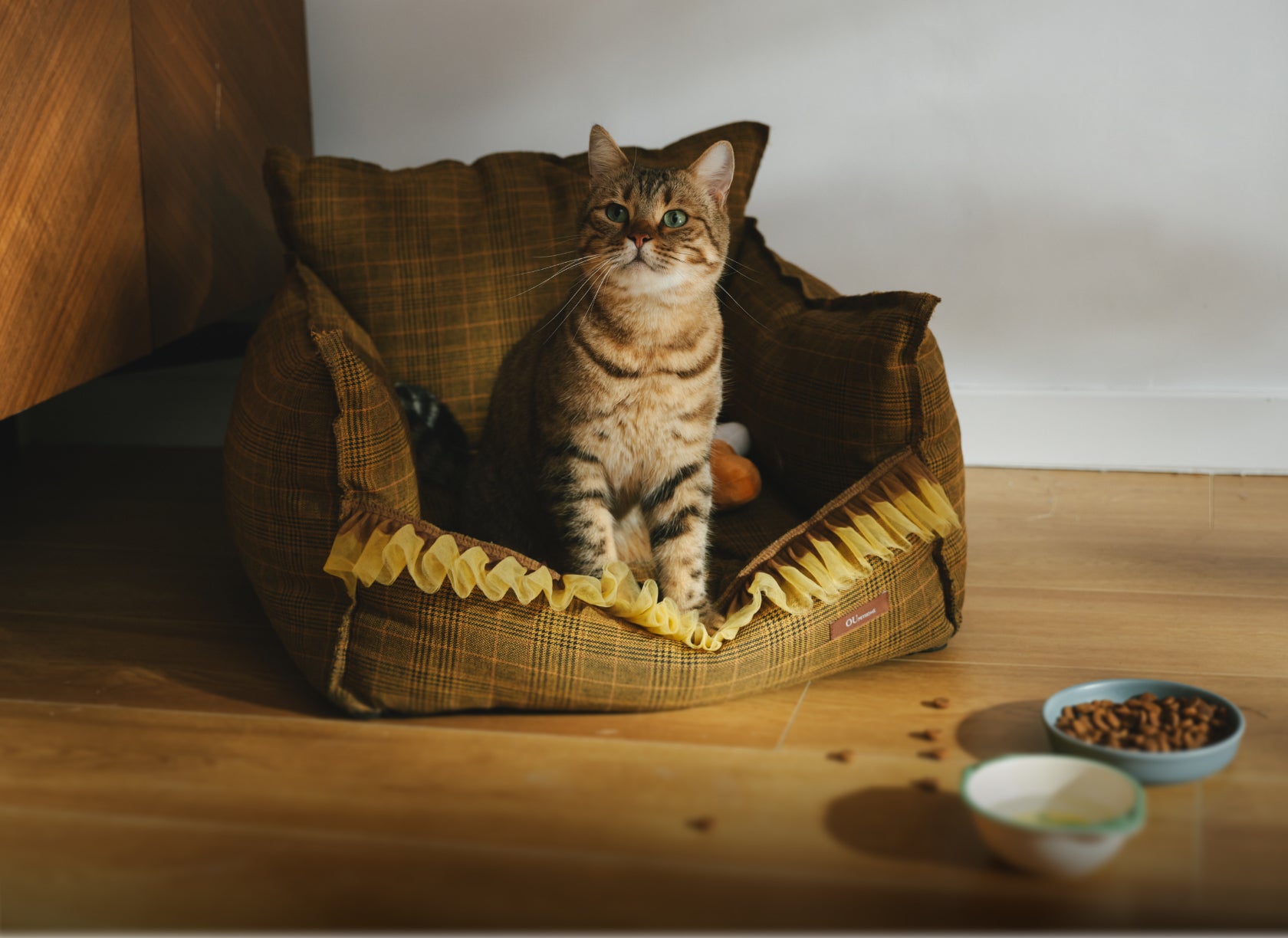 Roborock F25 ACE Pro