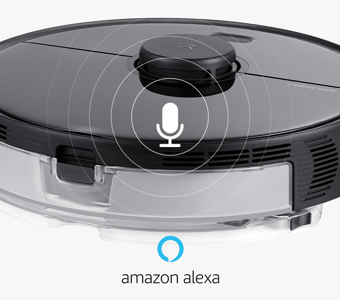Voice assistance